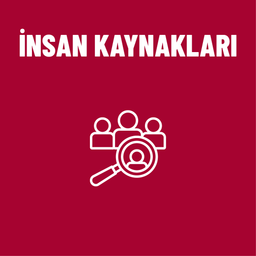 İnsan Kaynakları Yetkinlik Gelişim Grubu