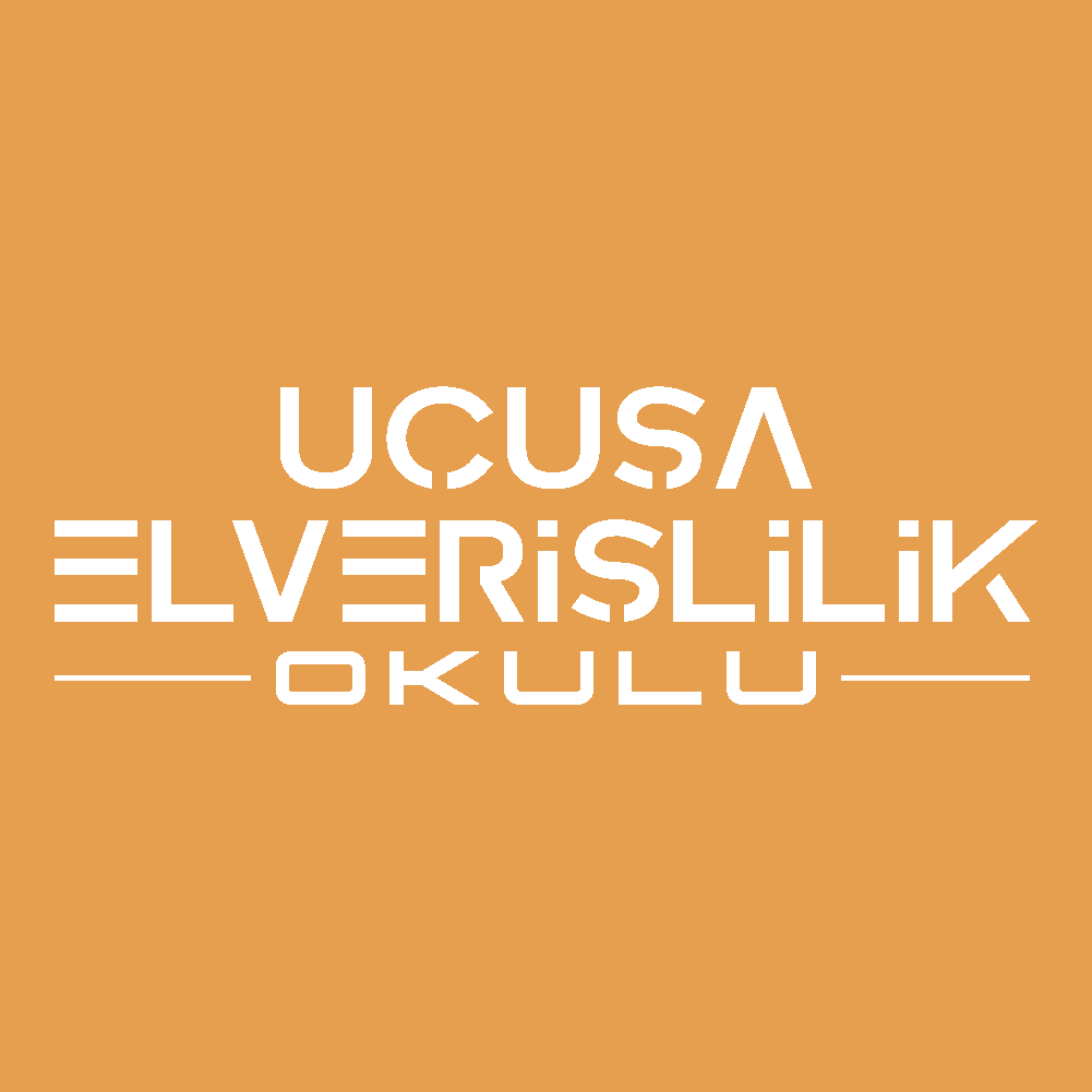 Uçuşa Elverişlilik Yetkinlik Gelişim Grubu